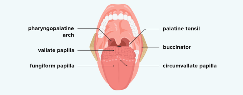 tongue problems